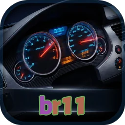 br11